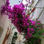 Chicca Appartement *