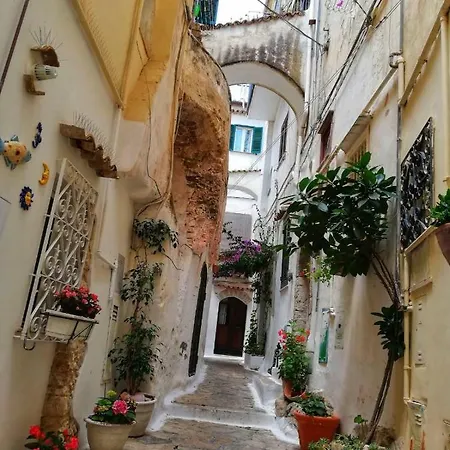 Chicca Apartment